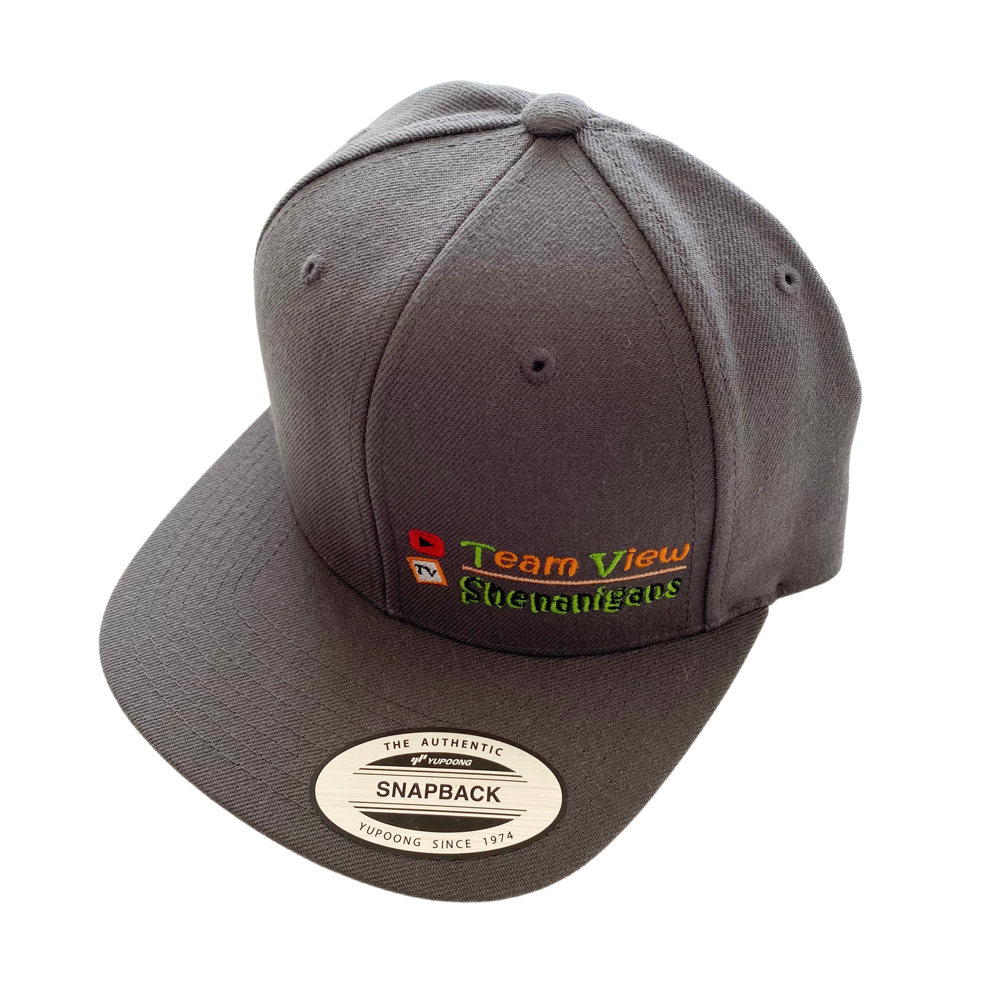 Team View Hat (Dark Grey)