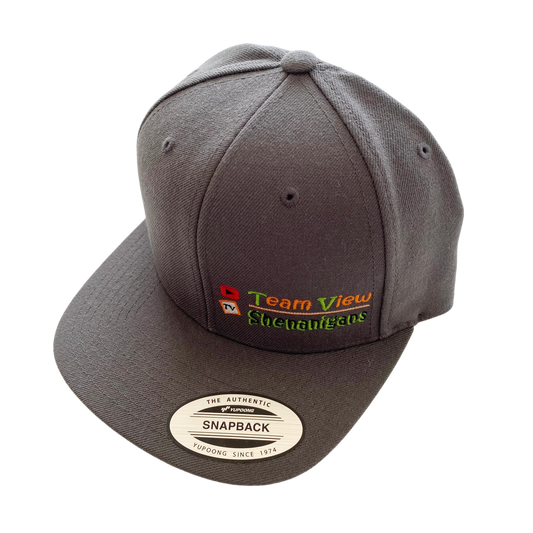 Team View Hat (Dark Grey)